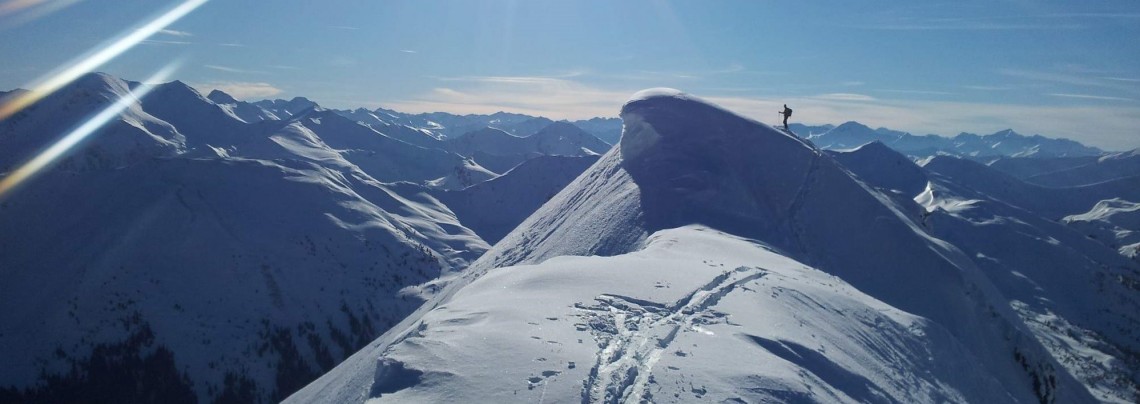 zimní panorama I