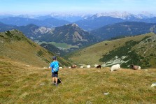 14) Geierkogel, 2.231 m